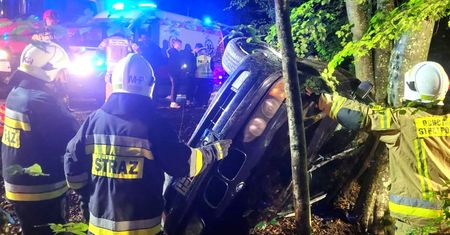 BMW uderzyło w drzewo. 19-latek kilka dni wcześniej zdał egzamin na prawo jazdy