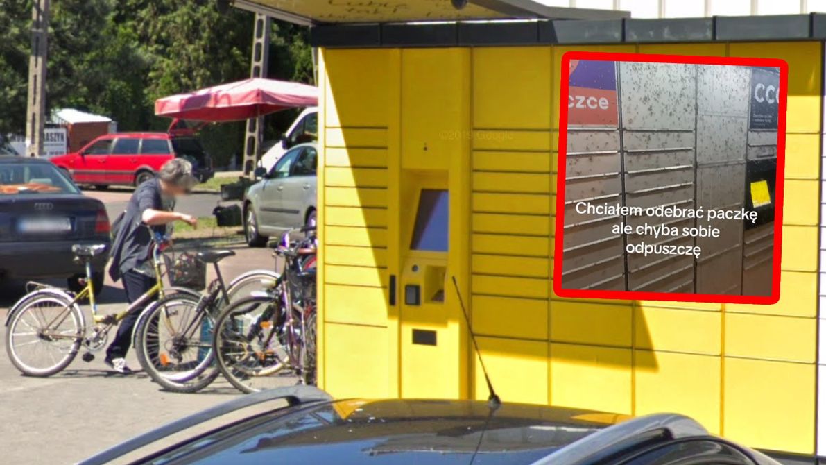 Paczkomat InPost w Raszynie pod Warszawą "przejęły" owady