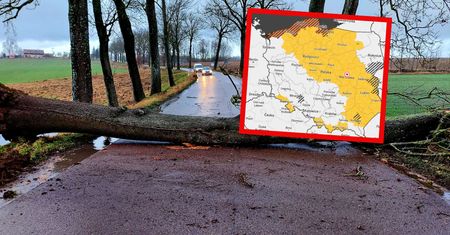 IMGW ostrzega. "Wiatr będzie się wzmagał"