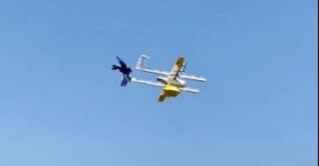 Dron miał dostarczyć przesyłkę. Został zaatakowany przez kruka [WIDEO]