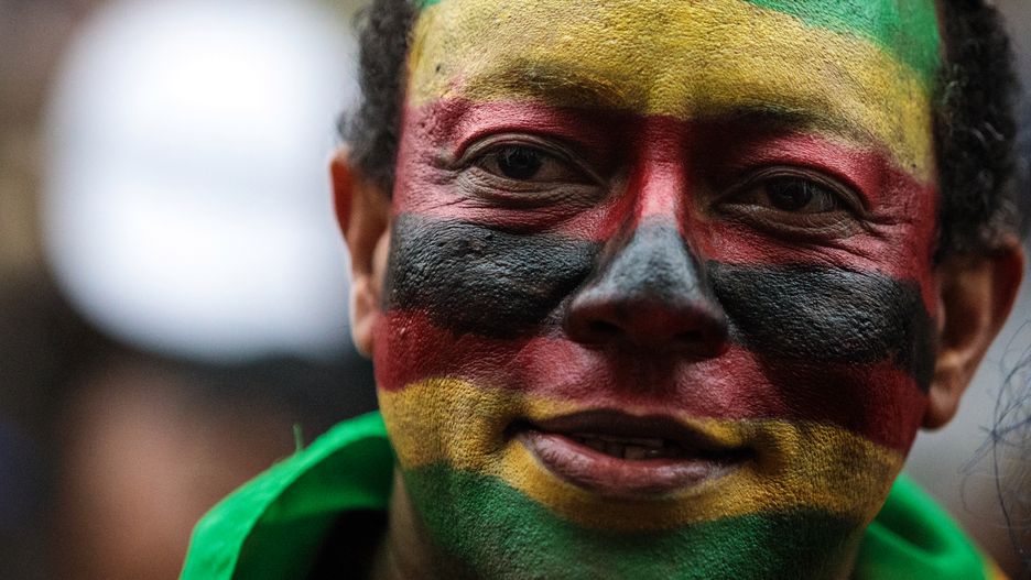 Demonstrant świętujący odsunięcie Roberta Mugabe od władzy