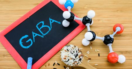 GABA. Suplement, który przyspiesza regenerację mięśni i całego organizmu
