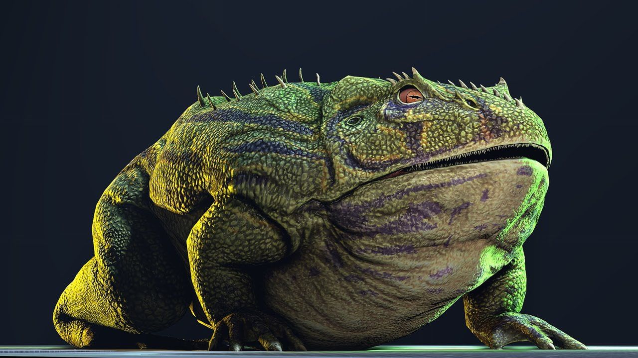 "Żaba z piekła" mogła zabić dinozaura. Żyła miliony lat temu na Madagaskarze