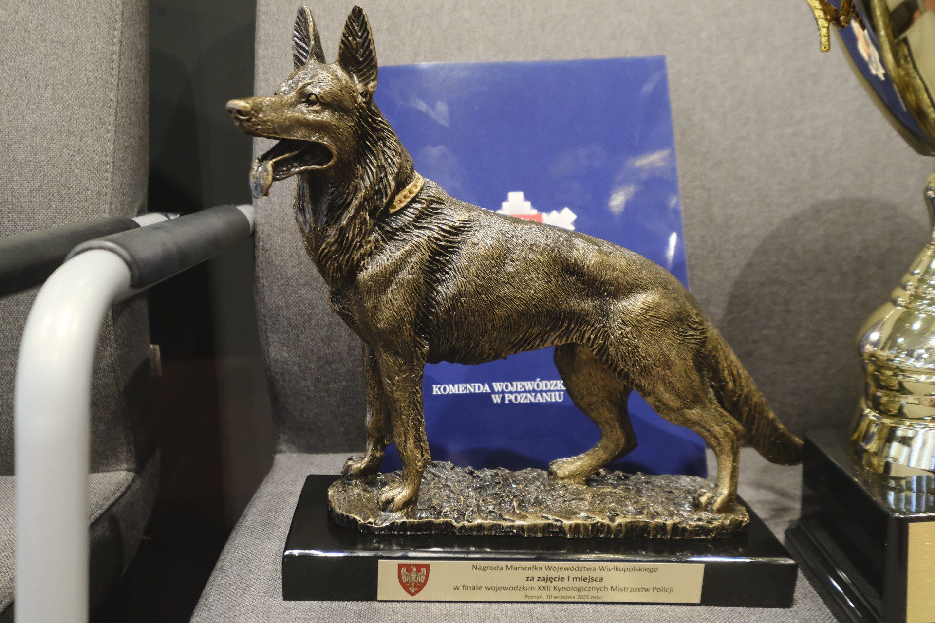 Nagrodzono najlepsze czworonogi w wielkopolskiej policji