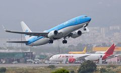 Chaos podczas ewakuacji Holendrów. Samolot odleciał częściowo pusty