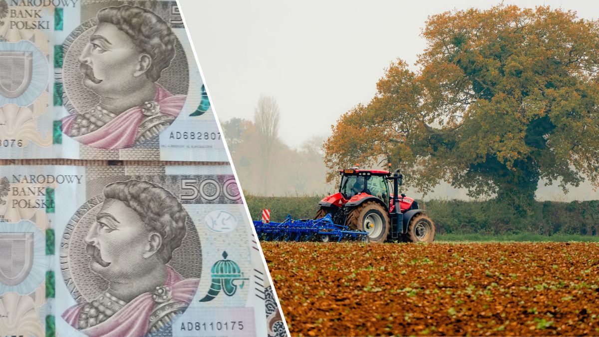 KOWR sprzeda 81 ha ziemi rolnej po spółdzielni za 2 mln zł. Nie każdy rolnik się odważy