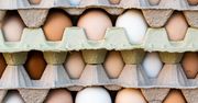 Zbadali ekologiczne jajka. Mówią, co w nich "siedzi"
