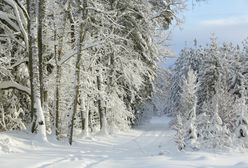 Zima w Polsce. Szok i niedowierzanie