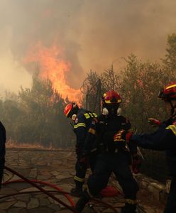 Dramatyczna sytuacja w Grecji. 52 pożary w ciągu doby