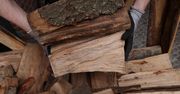 Ceny opału. Oto ile kosztuje metr drewna