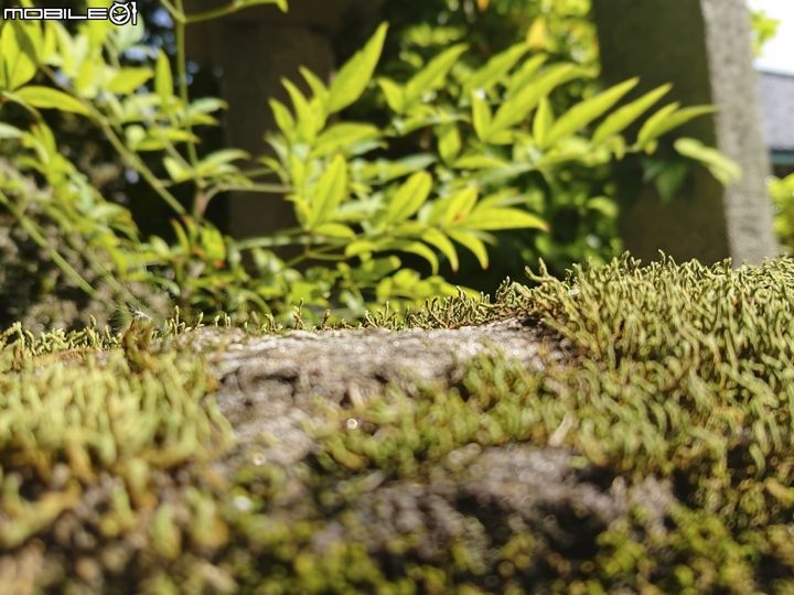 #wSkrócie: Sony Xperia XZ3 w GFXBench, Huawei P9 bez Oreo i Google Assistant po polsku 7