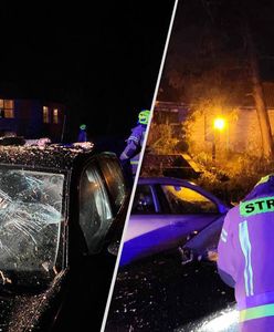 Połamane drzewa, zerwane dachy. Skutki wichury nad Polską