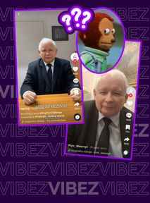 Szok: Jarosław Kaczyński na TikToku deklasuje SwipeTo