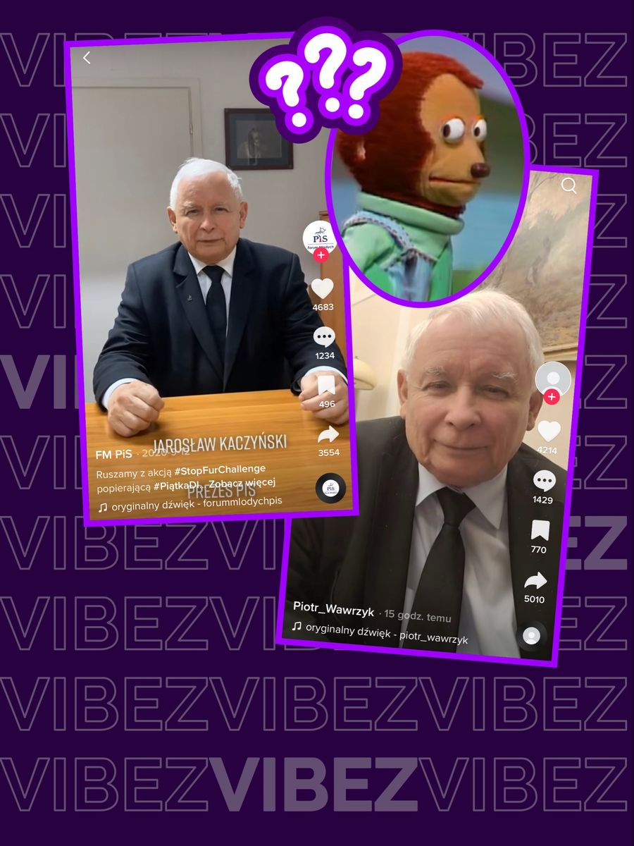 TikTok: Jarosław Kaczyński niespodziewanym gościem nagrania