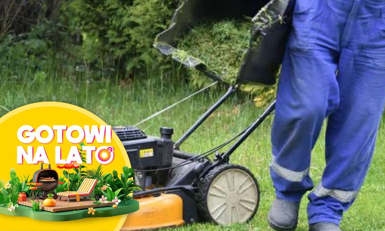 Mandat za koszenie trawy? Wiadomo, co mówią przepisy