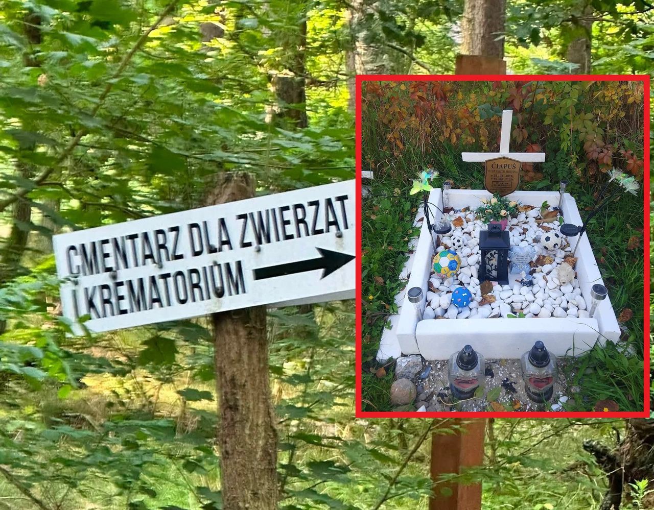 Wrzucił zdjęcie grobu psa i się zaczęło. "Bez przesady, krzyż dla psa?"