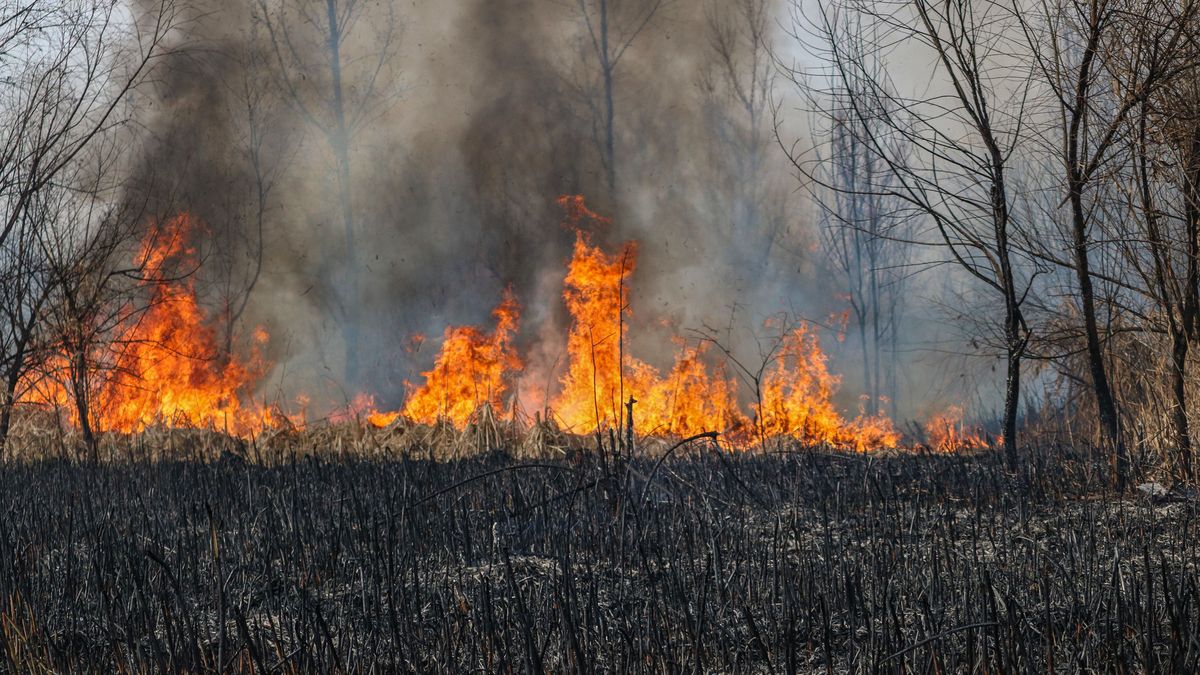 PSP ostrzega przed wypalaniem traw. Ten weekend może być trudny