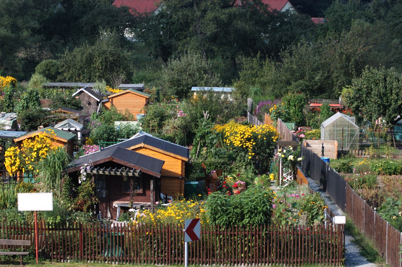 Działkowcy dostaną dodatkowe pieniądze. To pomoc dla powodzian