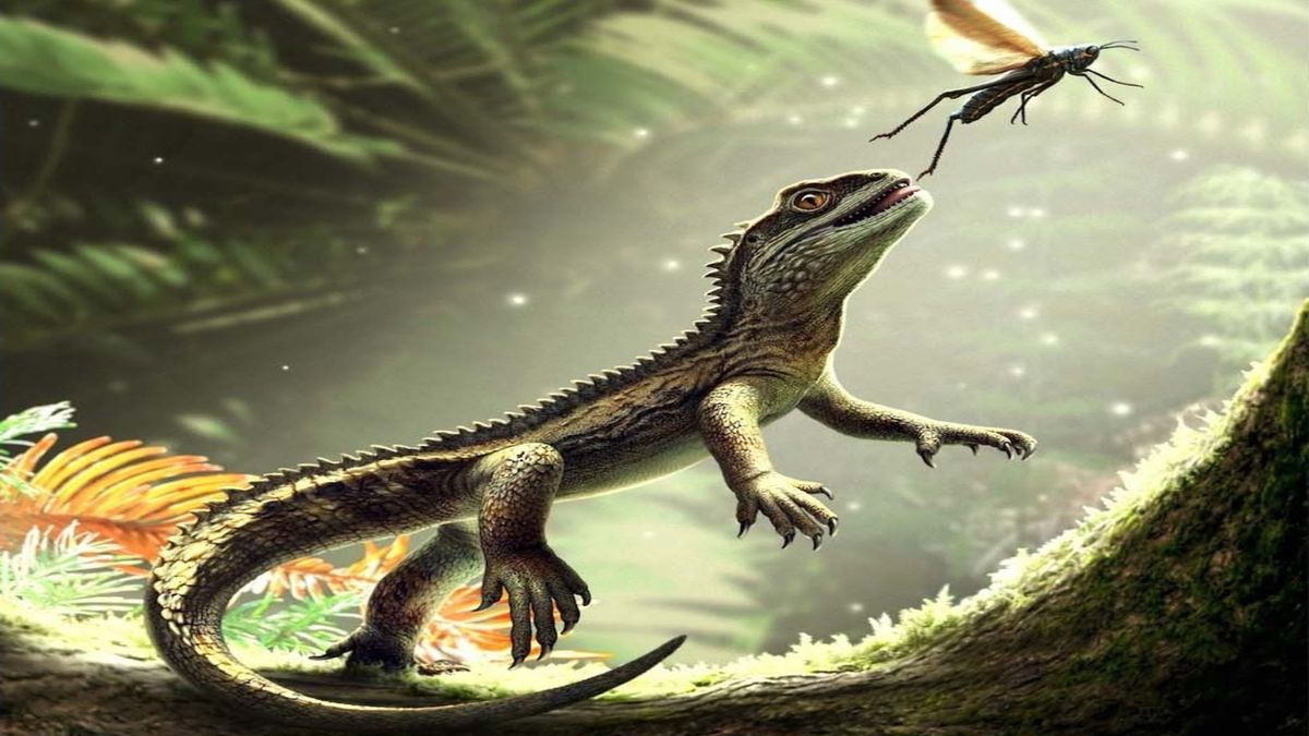 Tak mógł wyglądać Agriodontosaurus helsbypetrae