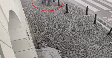Wrocław, biały dzień. Wymierzył cios w staruszkę. Doigrał się