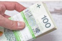 pieniądze, złoty, banknoty, waluty, złotówka