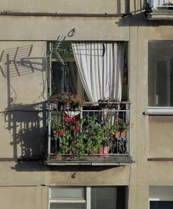 Grzywna za upiększanie balkonu kwiatami. Kodeks mówi jasno
