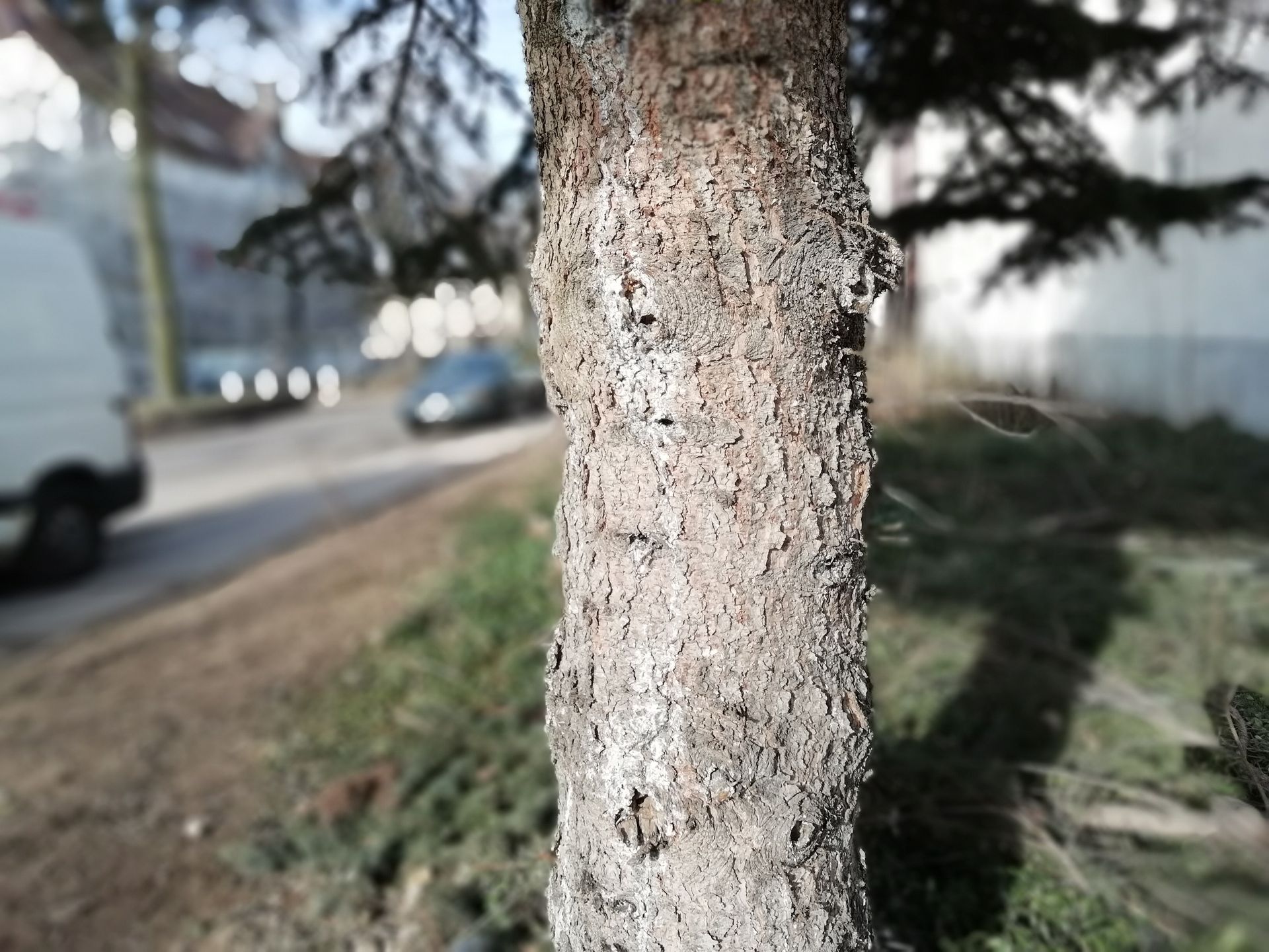 Honor 9 Lite - pierwsze wrażenia. Kosztuje mniej niż 1000 zł, a pod wieloma względami ociera się o górną półkę 27