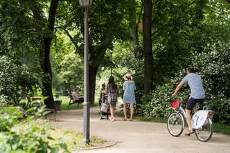 Karta Dużej Rodziny na smartfon. Nie trzeba będzie chodzić do urzędu