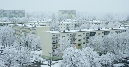 Masz psa, masz nieruchomość? Szykuj się na dwucyfrowe podwyżki w 2023 r.