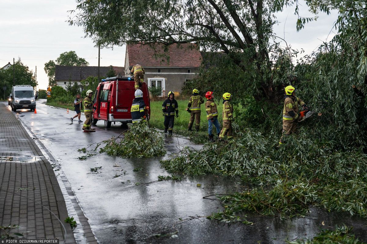Silny wiatr powalił drzewa na Morawach