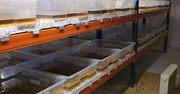 Rozbita fabryka narkotyków syntetycznych – policja zabezpieczyła 860 kg substancji o wartości 70 mln zł