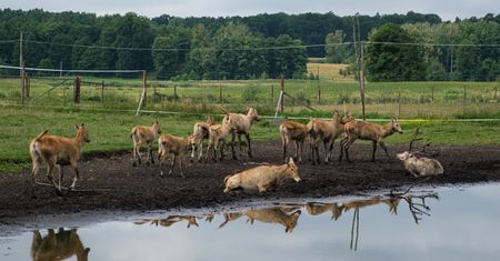 Zagrodził dojazd do mazurskich atrakcji. Miał dość braku reakcji gminy