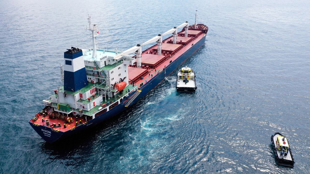 Inspekcja pierwszego statku z ukraińskim zbożem, przepuszczonego w ramach porozumienia zbożowego, 3 sierpnia 2022 roku