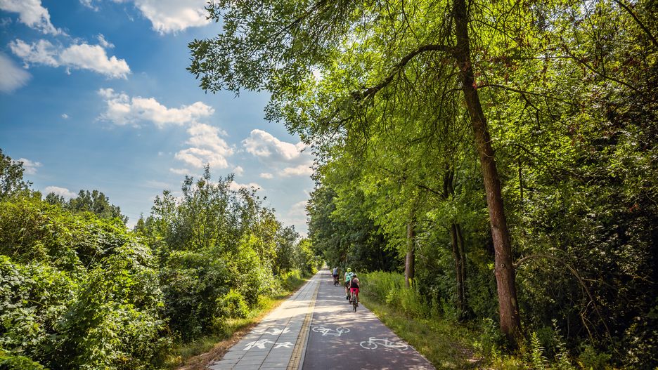 Trasę liczącą 27 kilometrów pokonali uczestnicy "Rajdu rowerowego w reymontowskim klimacie"