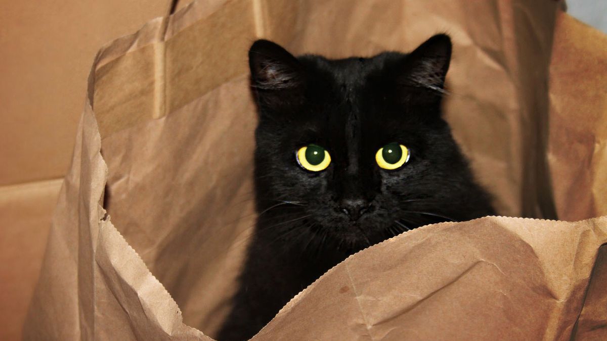 Klient jest głupi, więc wszystko kupi! Czyż nie? 1