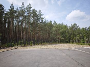 Jar otwiera się za wschód i zachód. Toruńskie osiedle ma zyskać nowe połączenie