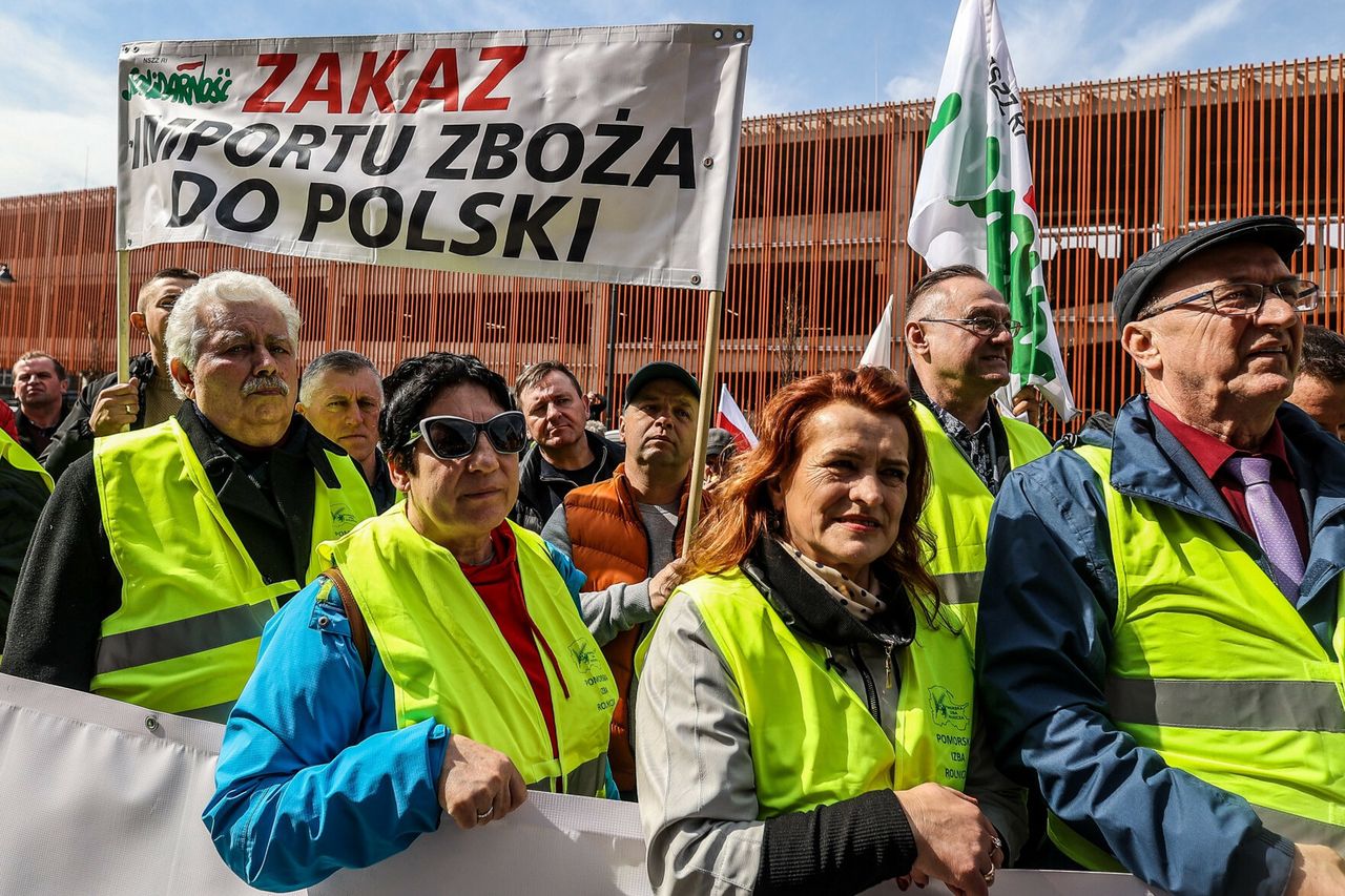 Ukraińscy miliarderzy kontra rolnik na 60 hektarach. Nowy wątek awantury o zboże