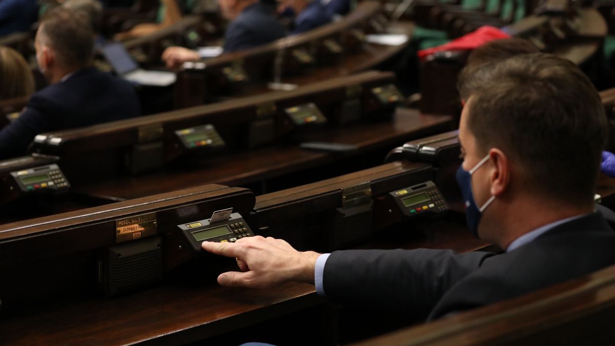 Sejm; poseł; głosowanie
