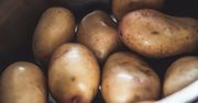 Najgorszy sposób przechowywania. Ziemniaki stają się rakotwórcze