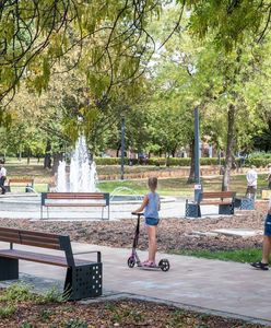 Katowice. Będzie zielono. Ponad dwa miliony na ekologiczne inwestycje