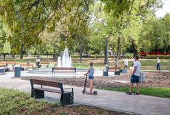 Katowice. Będzie zielono. Ponad dwa miliony na ekologiczne inwestycje