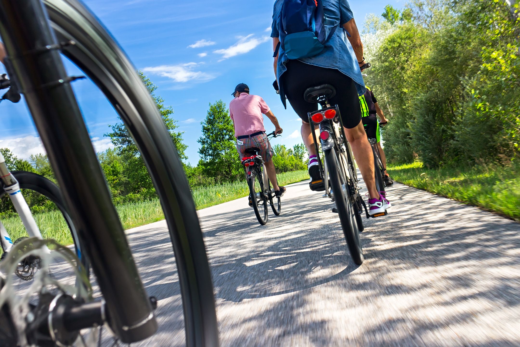 radfahrer, radtour, ausflug, familie, fahrrad, mountainbike, tour, konzept, abstrakt, hintergrund, dynamik, bewegung, mtb, abfahrt, leute, alt, jung, gruppe, sommer, fahren, frau, mann, fahrradtour, radsportler, blau, himmel, landschaft, biker, sportlich, radsport, sport, downhill, profi, radfahren, bike, mountain bike, rad, gemütlich, sonntagsausfulg