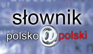 Słownik polsko@polski – oglądaj online w TV – co to za program, prowadzący, gdzie obejrzeć