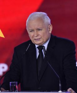 Poseł KO zaatakował Kaczyńskiego. "Drze się do niemieckiego mikrofonu"