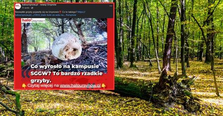 "Biała kula". Ten widok zaskoczył mieszkańców Ursynowa