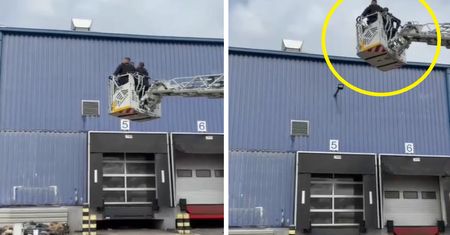 Akcja policjantów z Zabrza. Tak zatrzymali włamywaczy