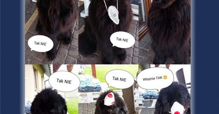 Żory. Nosisz maseczkę? Amigo przypomina, jak to robić prawidłowo