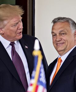 "Należało się". Orbán nie mógł dostać lepszego prezentu od Trumpa [OPINIA]