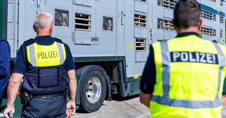 Polacy zatrzymani przez niemiecką policję. Straty to 335 tys. euro