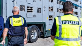 Polacy zatrzymani przez niemiecką policję. Straty to 335 tys. euro